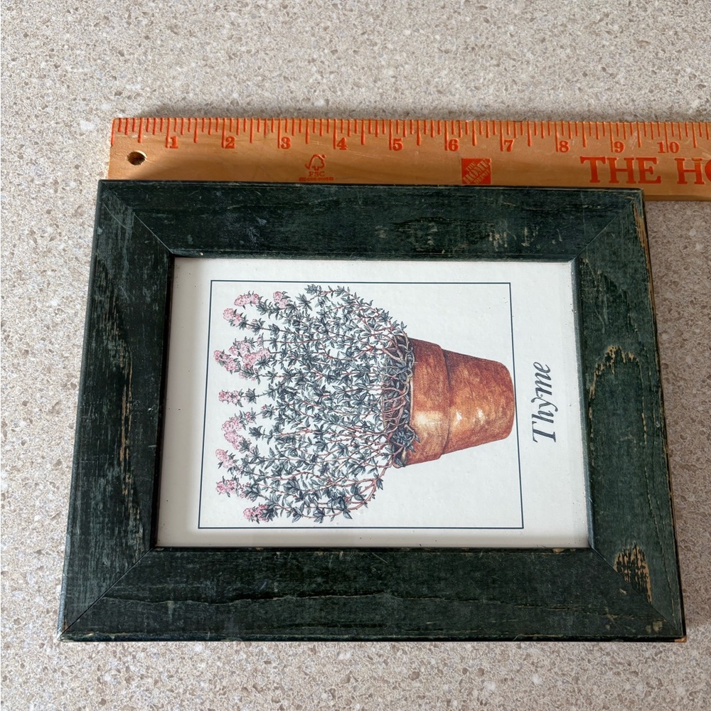 Vintage Thyme Botanical Art Print - Distressed Green Wooden Framed Herb Picture - Picture 2 of 4